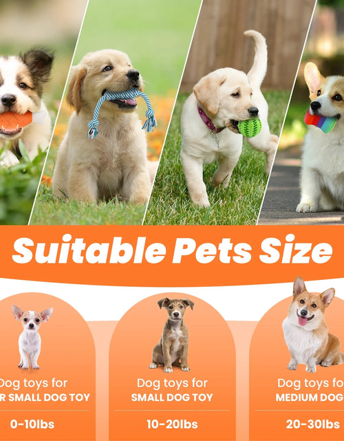 Load image into Gallery viewer, Dog Toys for Small Dogs ,10 Pack Puppy Chew Toys for Teething and Training with Plush Squeaky Toys, Treat Ball and Rope Toys to Keep Them Busy
