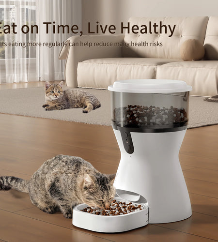 Automatic Cat Feeders 2.4G Wifi, Automatic Dog Food Dispenser, Timed Pet Feeder with 10S Dining Voice Record, 20 Cups/4L Smart Pet Feeder, Auto Pet Feeder for Cats and Small Dogs