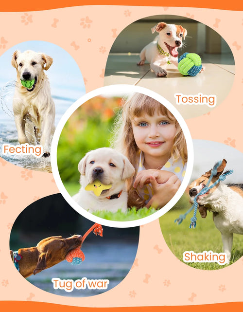 Load image into Gallery viewer, Dog Toys for Small Dogs ,10 Pack Puppy Chew Toys for Teething and Training with Plush Squeaky Toys, Treat Ball and Rope Toys to Keep Them Busy
