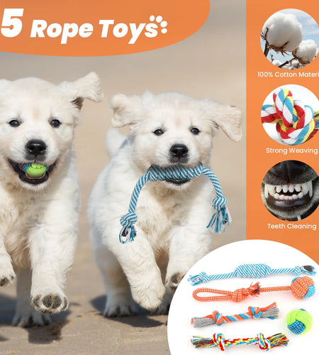 Dog Toys for Small Dogs ,10 Pack Puppy Chew Toys for Teething and Training with Plush Squeaky Toys, Treat Ball and Rope Toys to Keep Them Busy