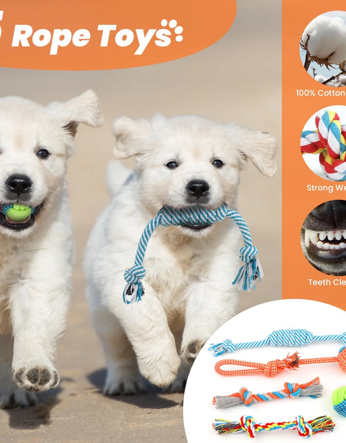 Load image into Gallery viewer, Dog Toys for Small Dogs ,10 Pack Puppy Chew Toys for Teething and Training with Plush Squeaky Toys, Treat Ball and Rope Toys to Keep Them Busy
