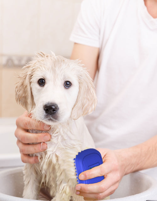 Load image into Gallery viewer, Dog Bath Scrubber Rubber Curry Comb &amp; Pet Grooming Brush with Non-Slip Grip, Blue
